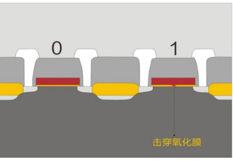 圖片2.png